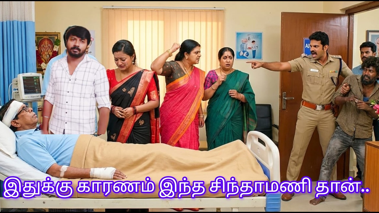 அருனிடம் மாட்டிய சிந்தாமணி #சிறகடிக்க_ஆசை UpcomingPromoRiview
