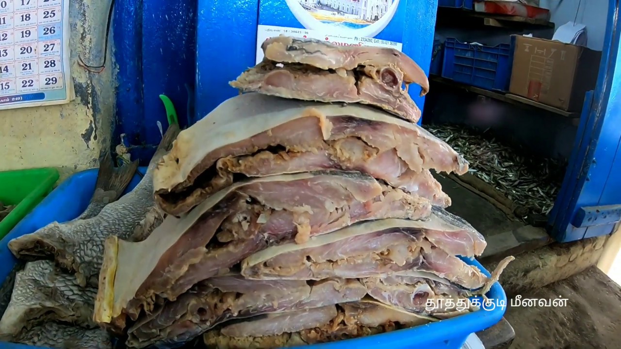 உலகத்திற்க்கே ஏற்றுமதி செய்த தூத்துக்குடி கருவாடு Export quality dry fish from Tuticorin