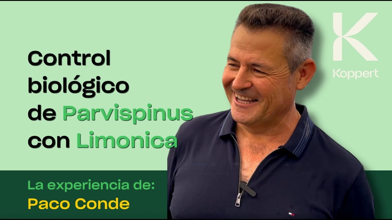 Limonica frena al Thrips Parvispinus: la experiencia de Paco Conde.