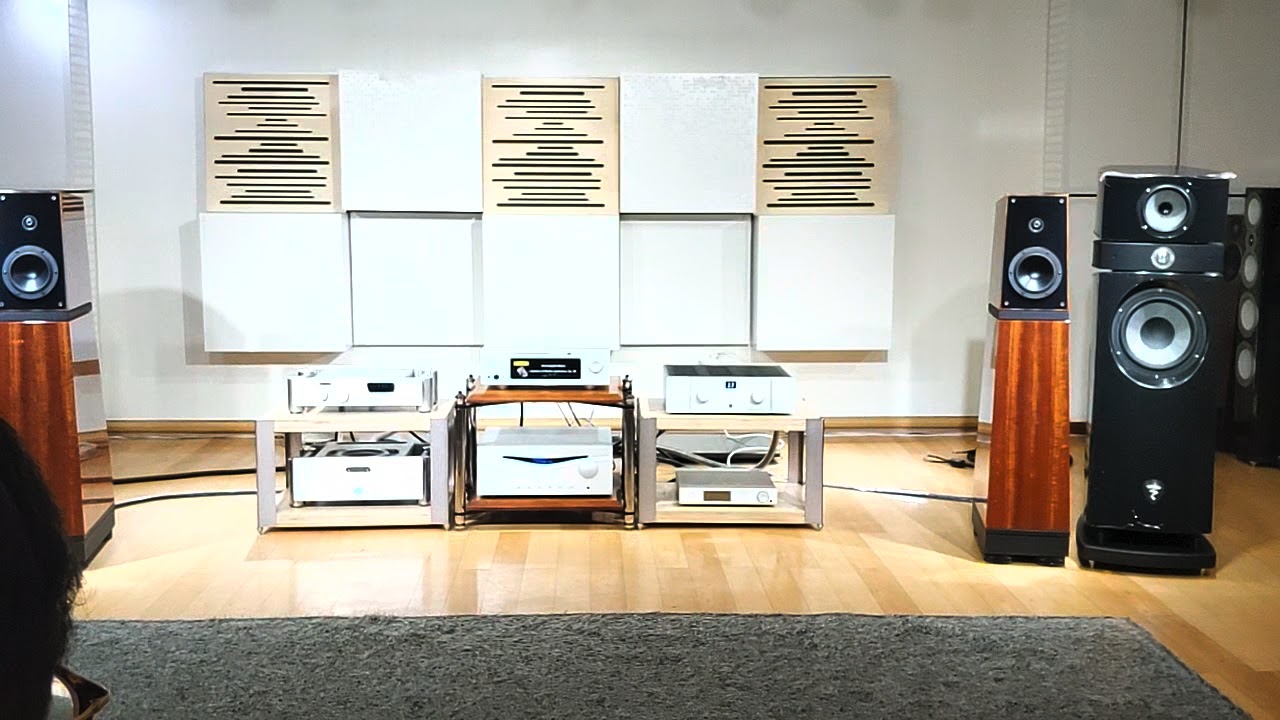 71 Audia Flight FLS10  + Verity Audio Leonore + Aurender A30