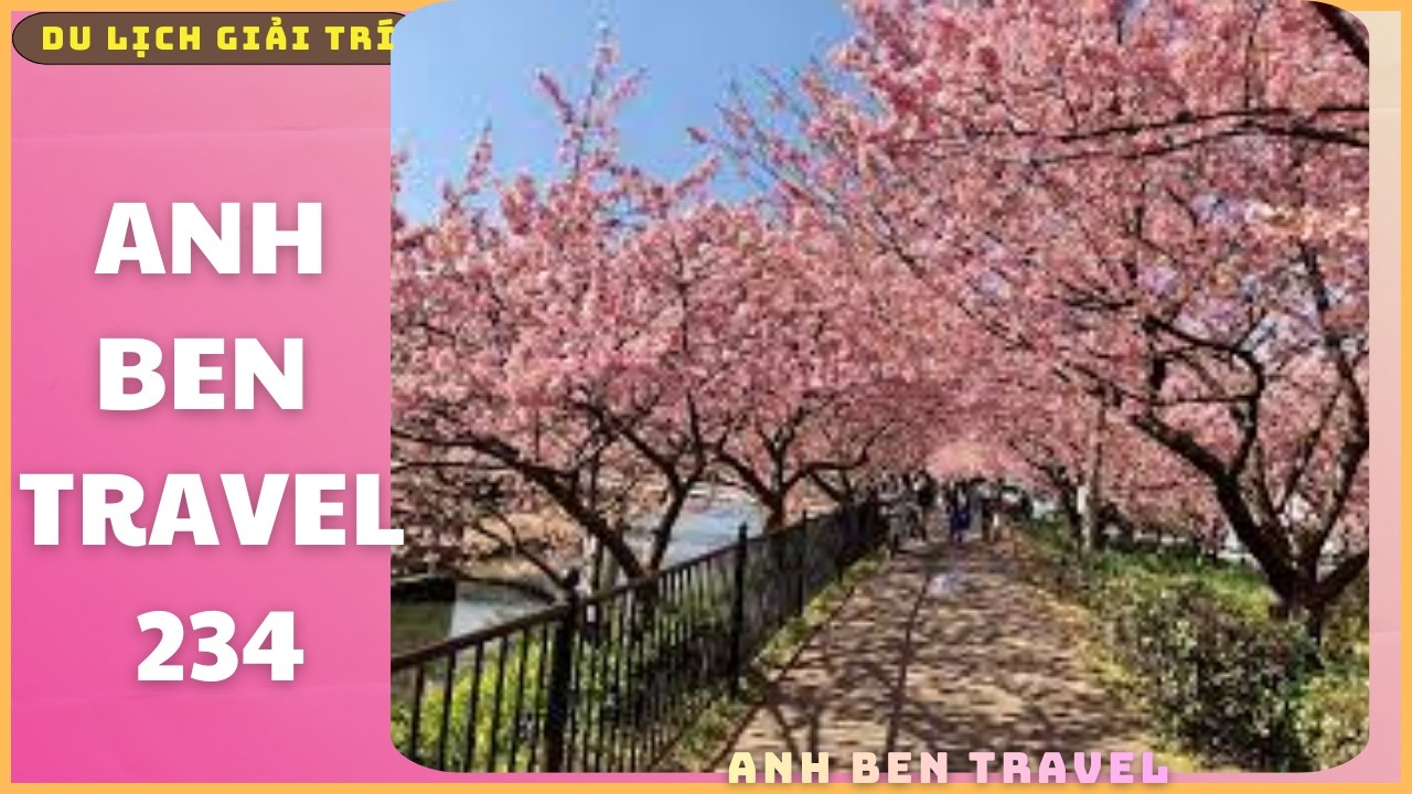 Anh Ben Travel Số 234 - Hoa Anh Đào Nở Sớm Tại Làng Ngoại Ô Tokyo