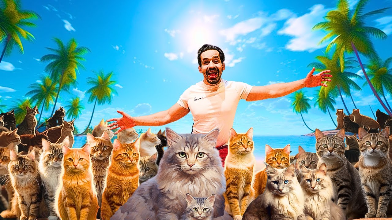 I Fed 100 Cats !