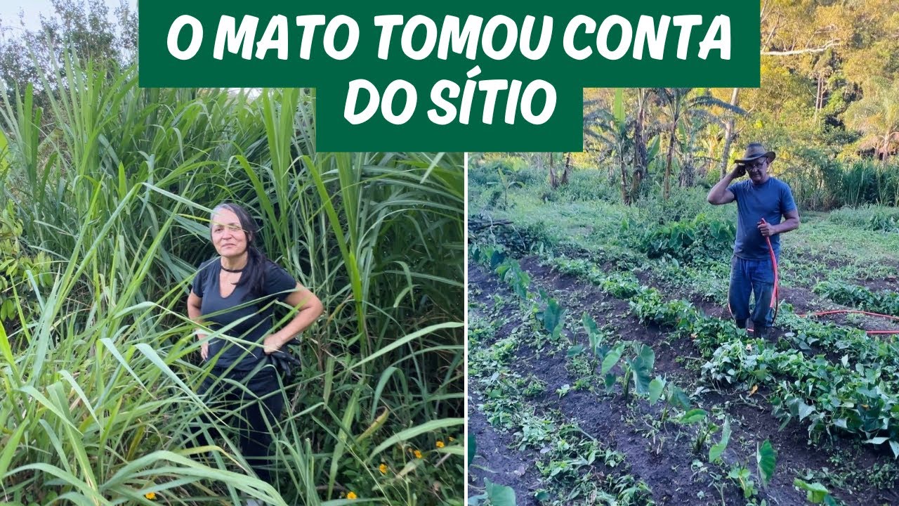 DESCANSO NA RO&Ccedil;A N&Atilde;O EXISTE😂/ Bora pra ro&ccedil;a?