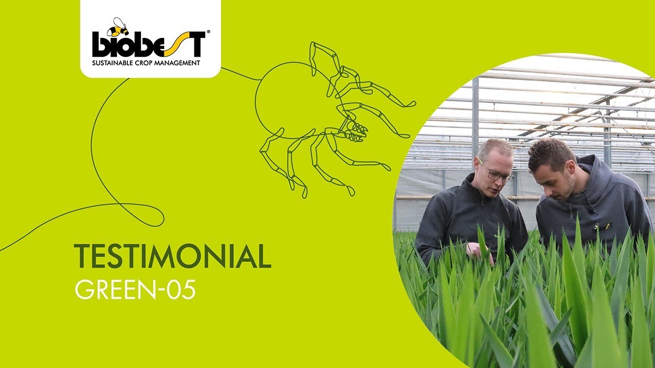 Collaboration between Biobest and Green'05