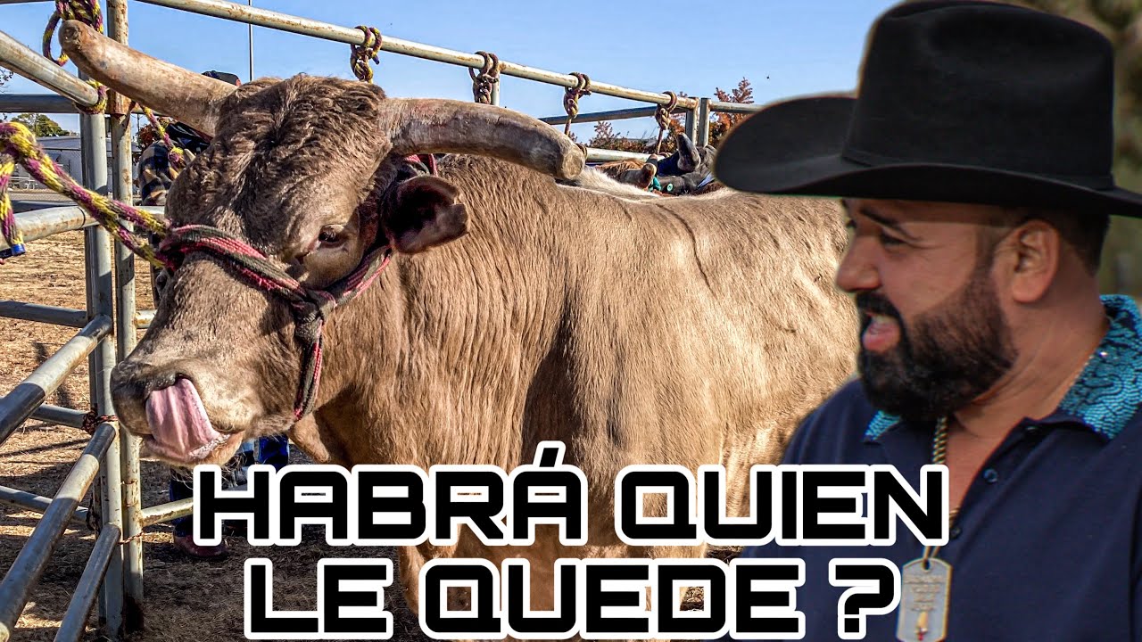 QUIEN LE QUEDARA AL G63 ? Rancho El Aguaje en Fillmore California 2024