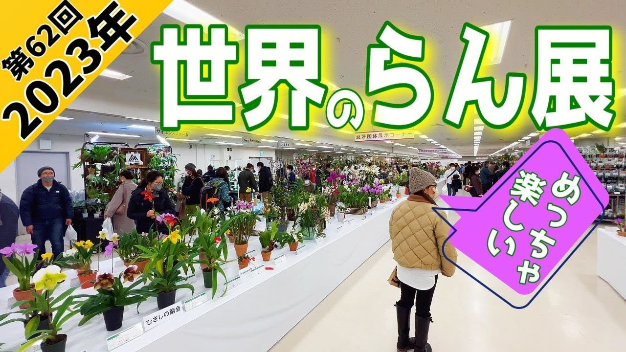 【観葉植物】世界のらん展にいこう（ビカクシダや熱帯雨林の植物も目移りする位に揃ってマス）