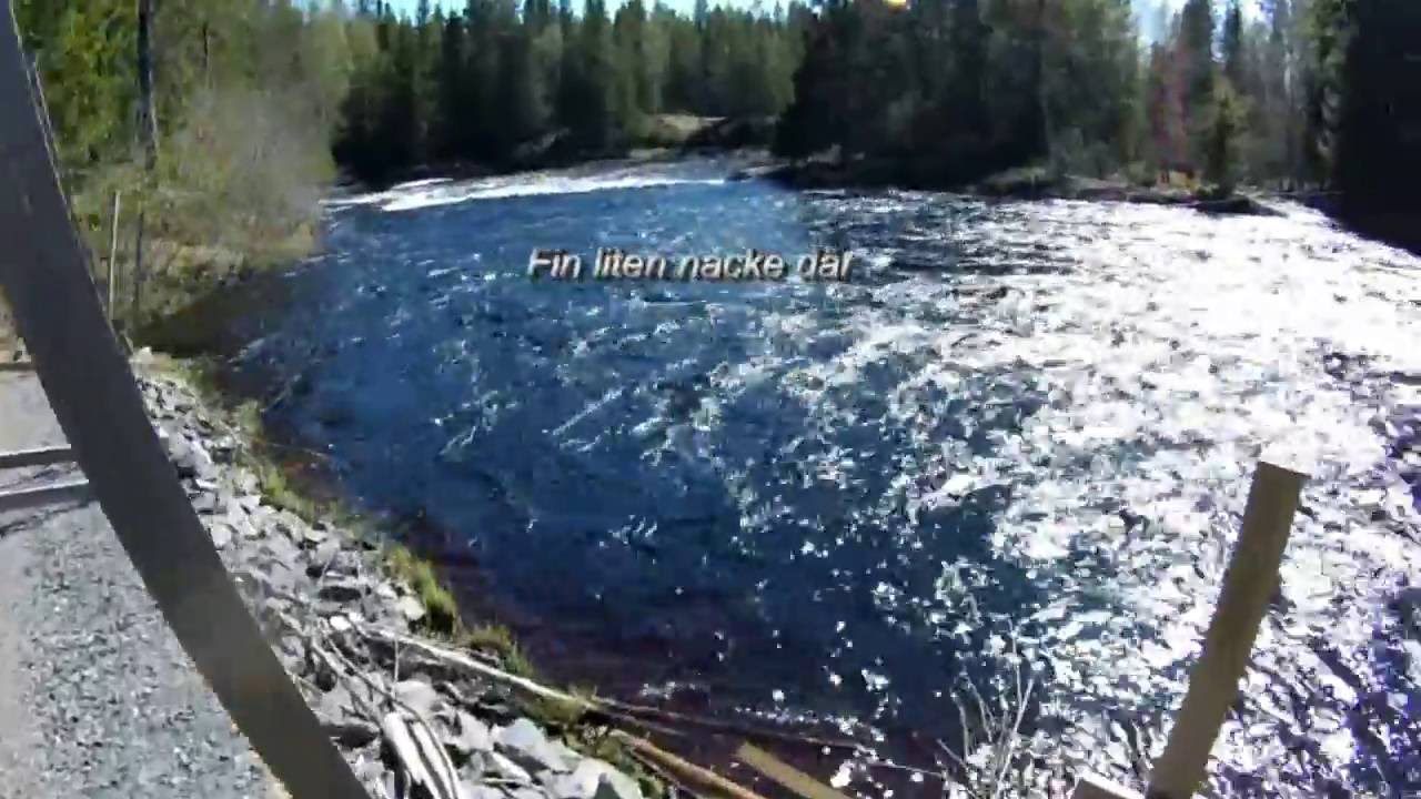 S&auml;var&aring;n, 20160520