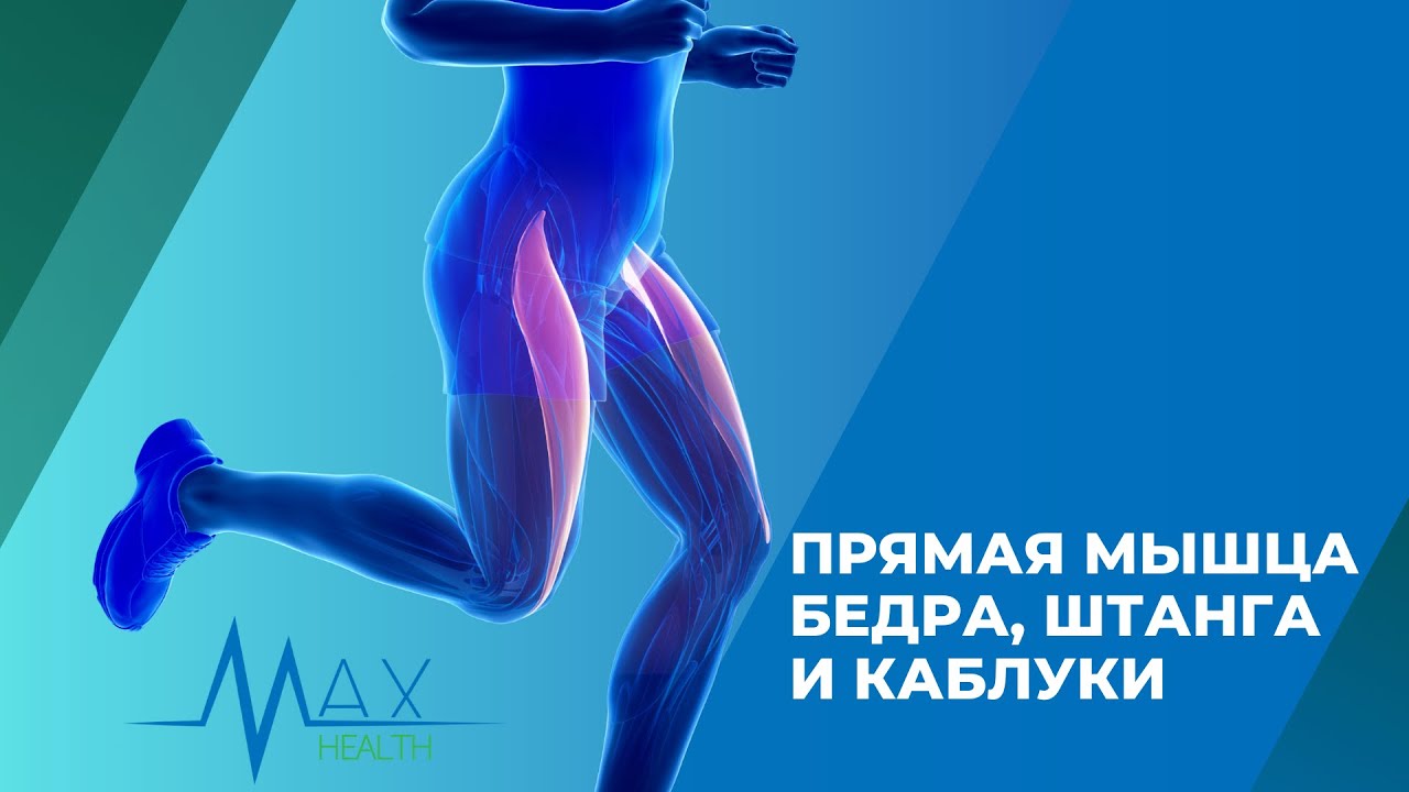 Приседания на каблуках в зале 