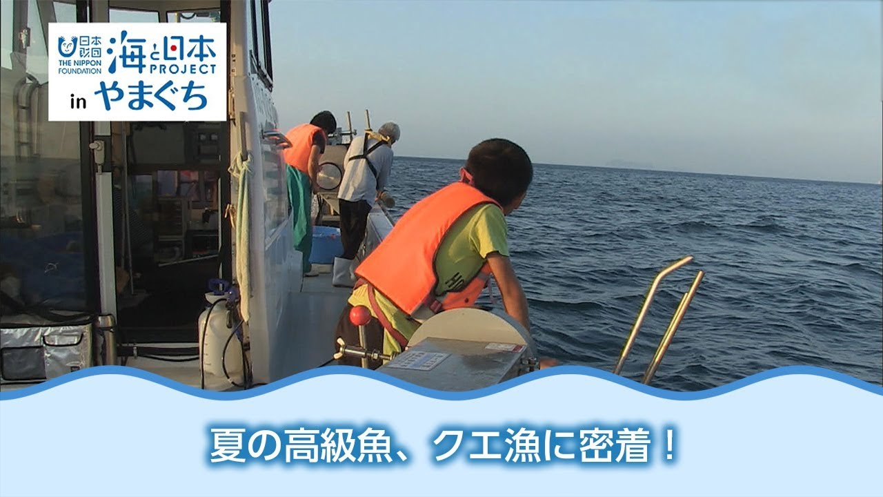 島のクエ漁に密着 日本財団 海と日本PROJECT in やまぐち 2018 #28