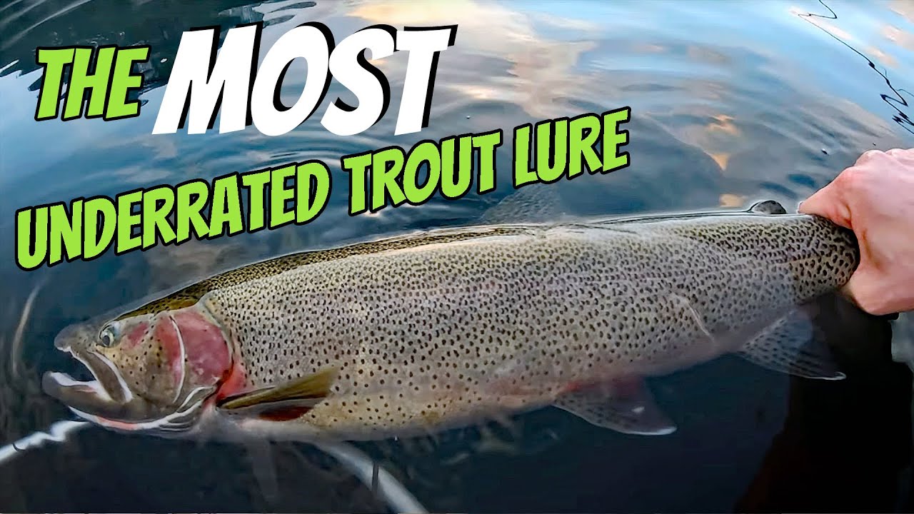 How to Catch BIG Trout (Of Every Species) In Lakes!