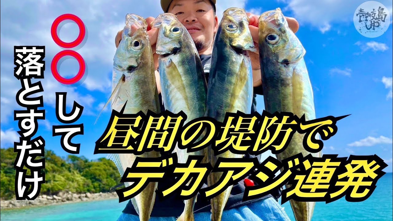 【壱岐島】誰でも簡単にデカアジ釣る方法。
