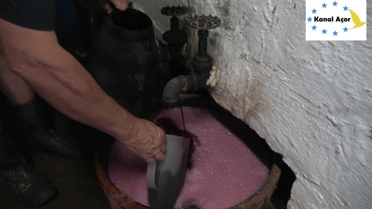 CONHEÇA A HISTÓRIA SÃO MARTINHO VAI ADEGA E PROVA O VINHO