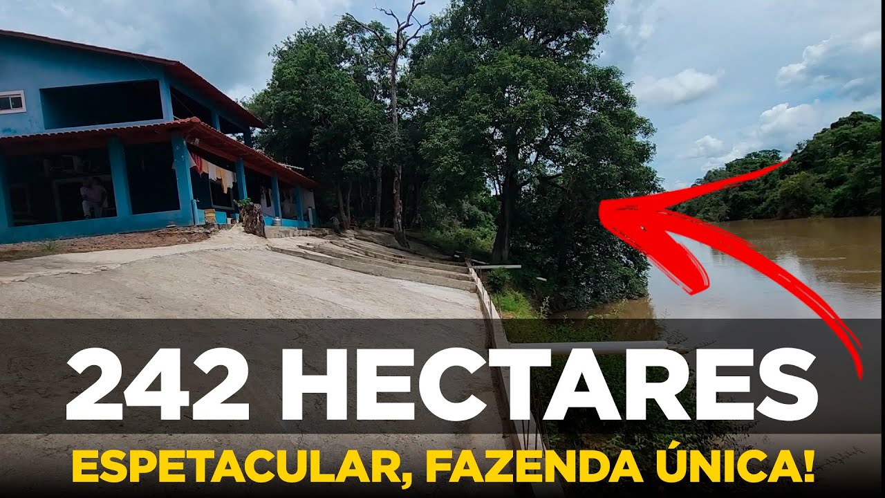 R$10 milhões.ABAIXOU P/ 8 MILHÕES. 242 hectares, pecuária, rio Paranã, 20 km de Flores-GO, 180 do DF