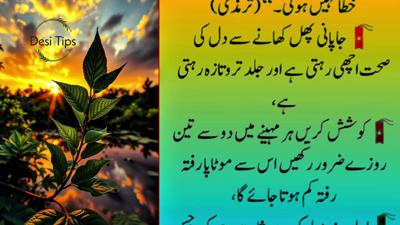 Quotes About life | Motivational Islamic Quotes | Golden Words | Rumi Quotes | Hazrat Ali Quotes