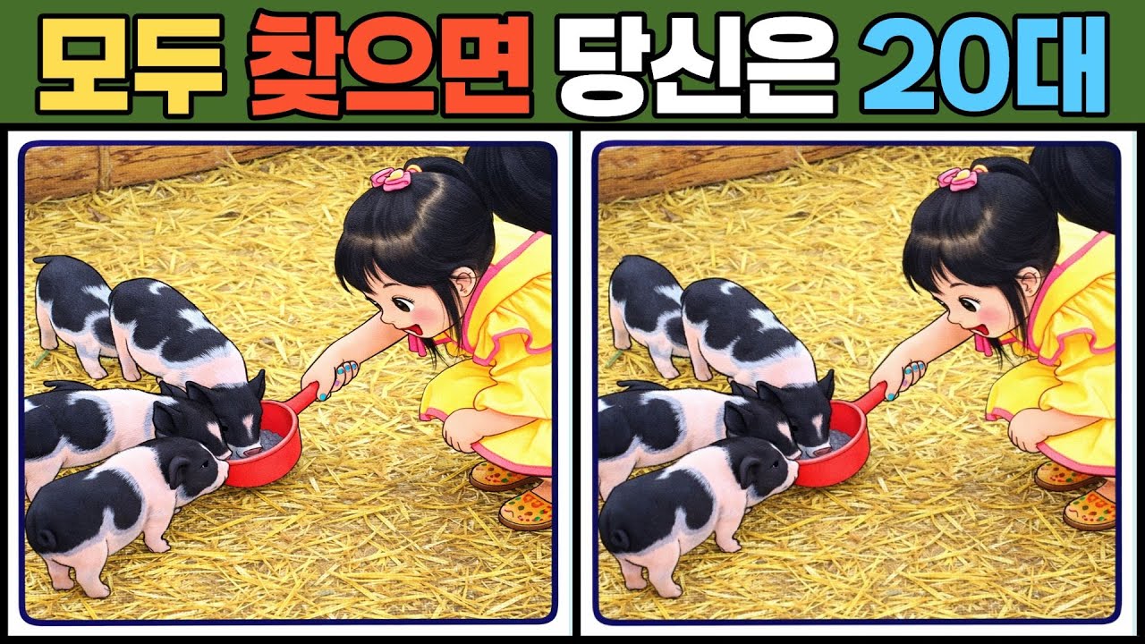 【다른그림찾기/치매예방】99%는 한곳을 못찾습니다【틀린그림찾기/두뇌운동/Find Difference/#0219】