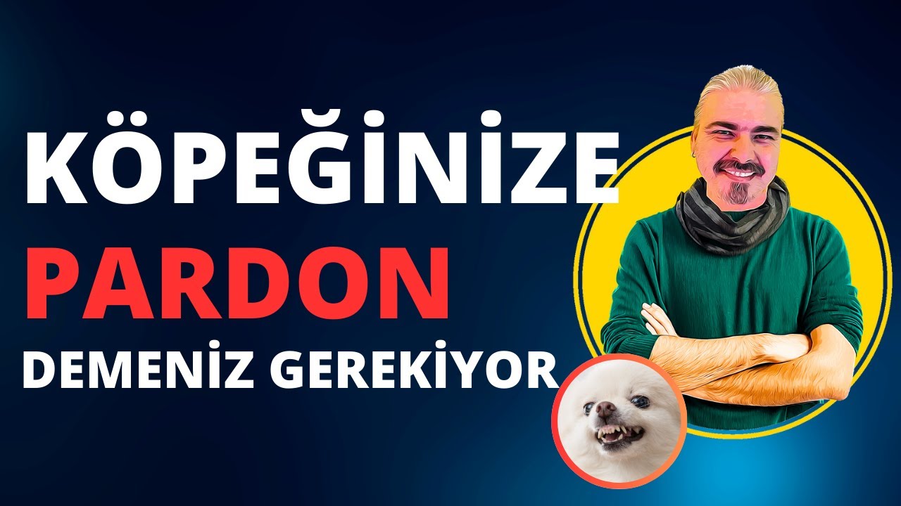 Köpeğinize PARDON Demelisiniz ! - Köpek Eğitimi