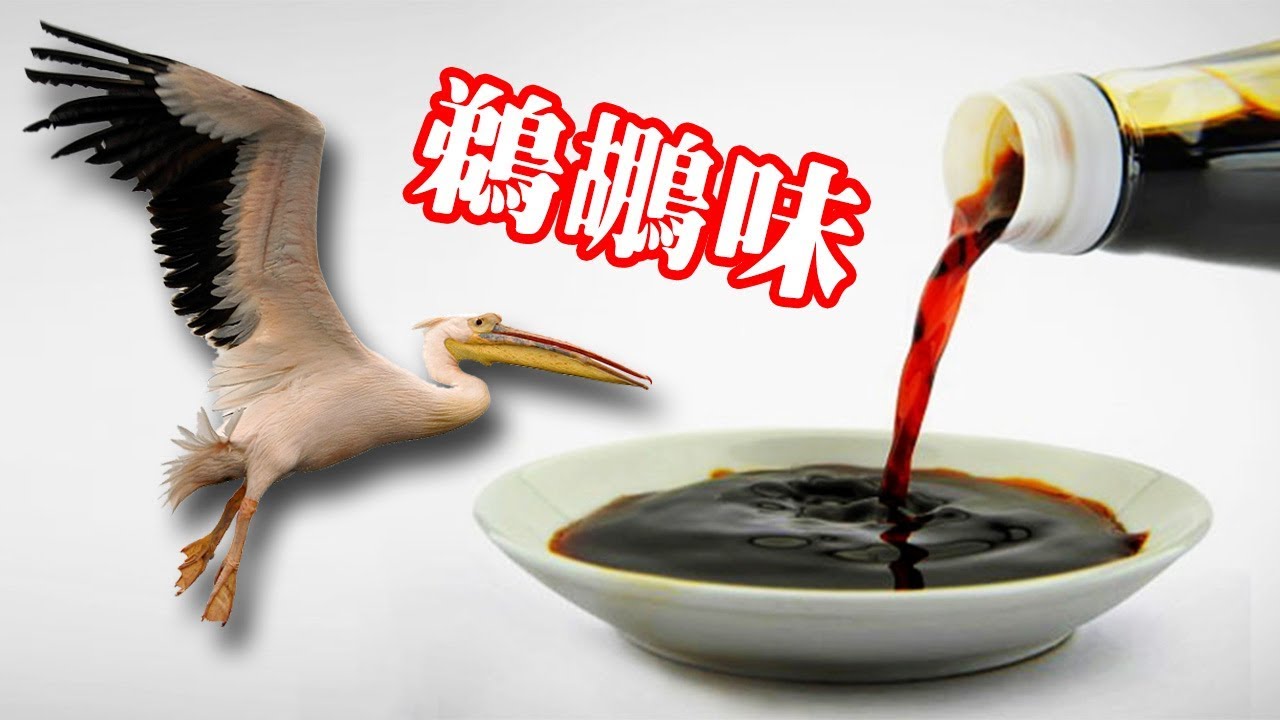 醬油有一種鳥味？｜Gartic.io 多人實況