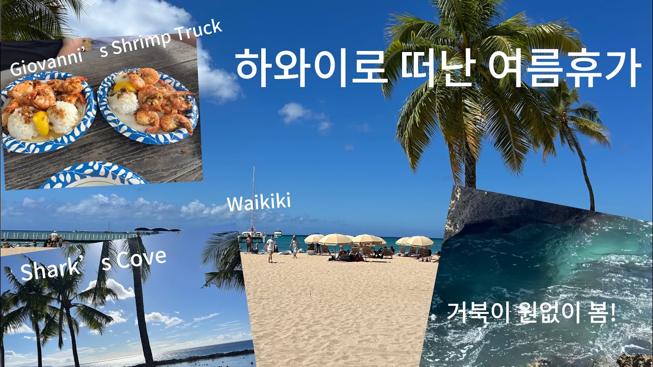2025년 여름 하와이 가족 여행