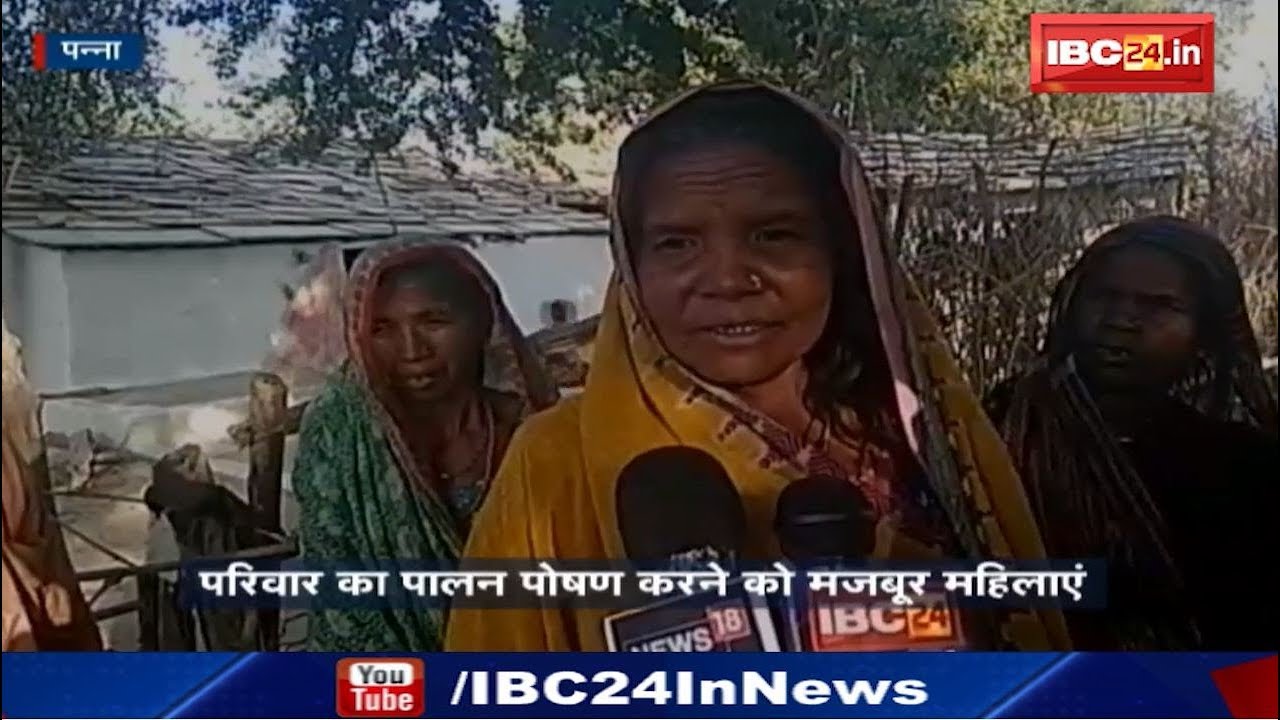 Panna News MP: इस गांव के लोगो के लिए मजदूरी का जरिया ही बना जान का दुश्मन