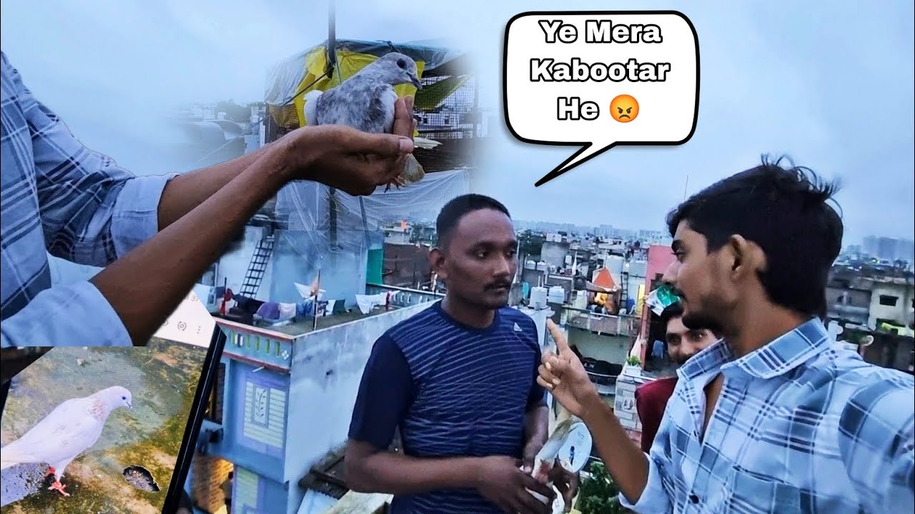 Kya Ye Kabootar Inka He 🙄