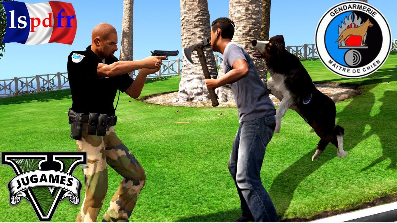 GTA 5 LSPDFR👮 [ MAITRE CHIEN 🐾GENDARMERIE ]