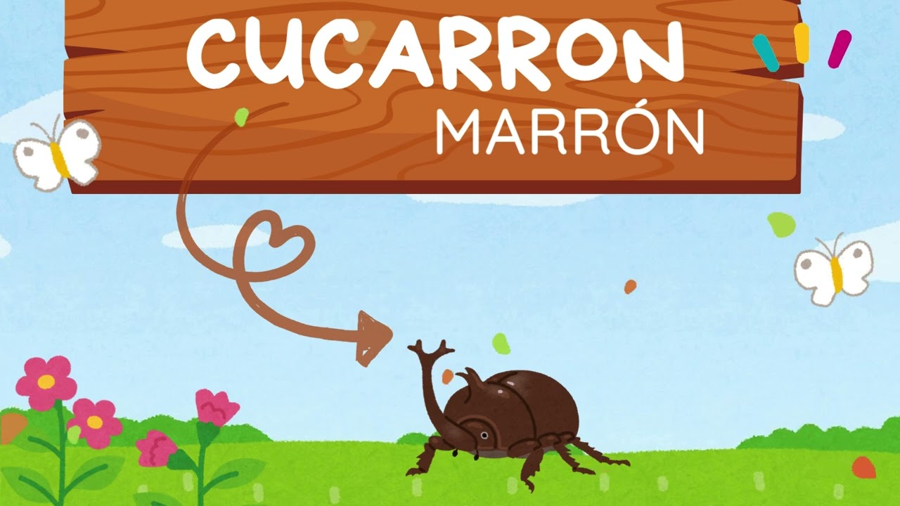 El cucarr&oacute;n Marr&oacute;n