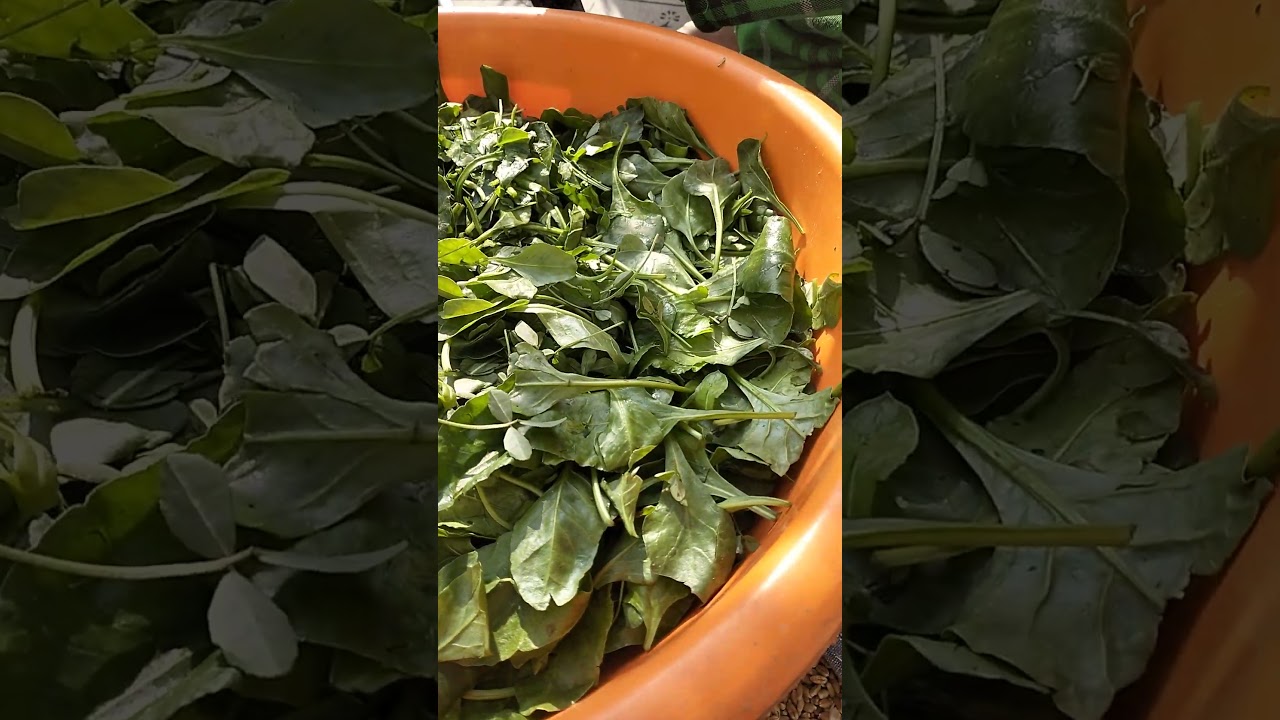 Saag bathiya cutting 🥬🥦