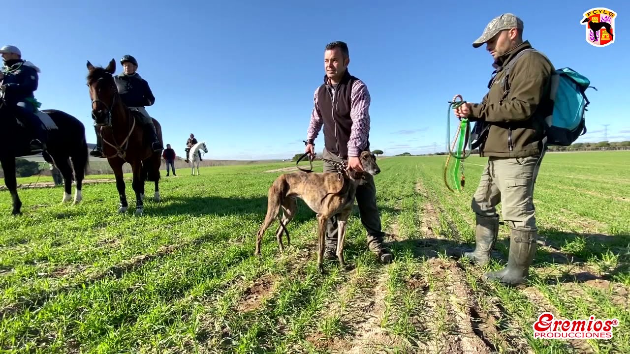 Octavos Cpto. de FCyLG - Pedrajas de San Estaban 3 y 4 de diciembre de 2019