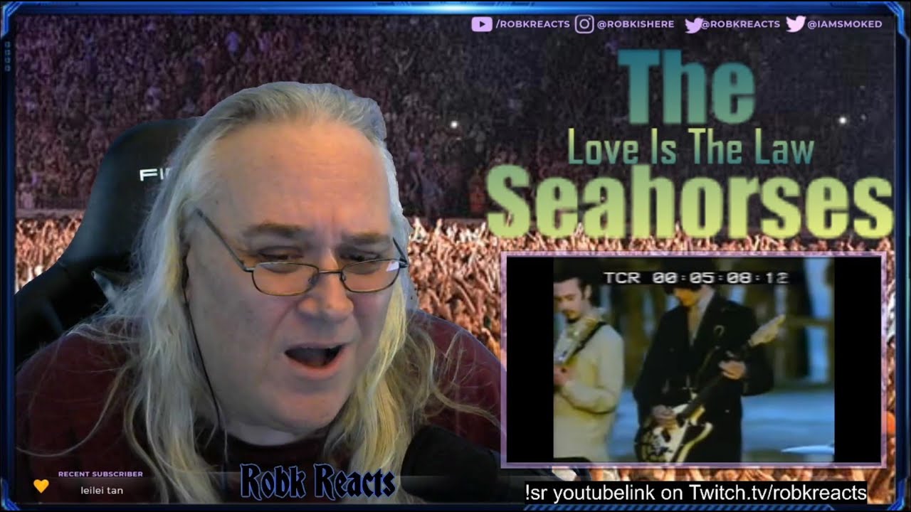 The Seahorses - First Time Hearing - Love Is The Law - Requested Reaction