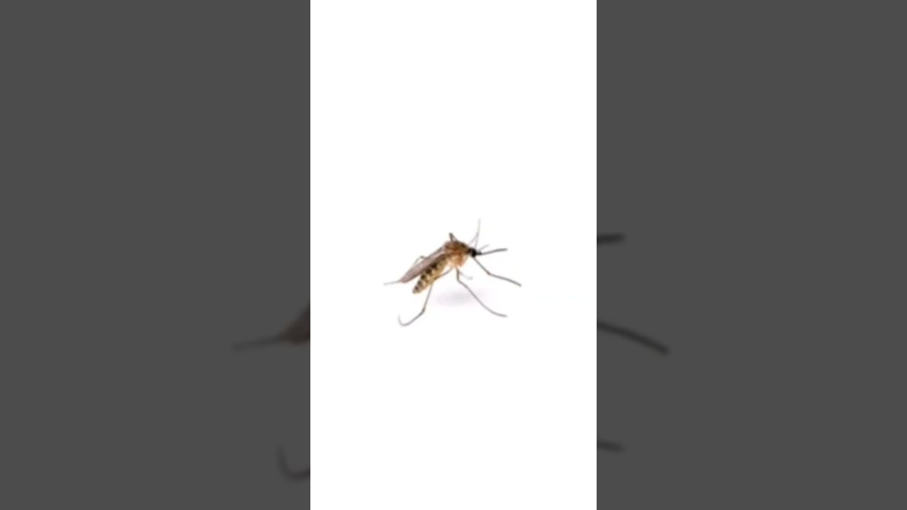 Irritating sound #shortvideo #trendingshorts