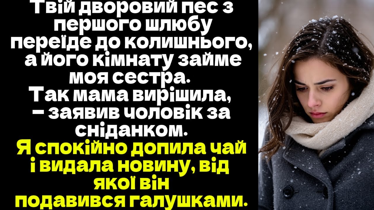 Твій дворовий пес з першого шлюбу переїде до колишнього, кімнату займе моя сестра. Так мама вирішила