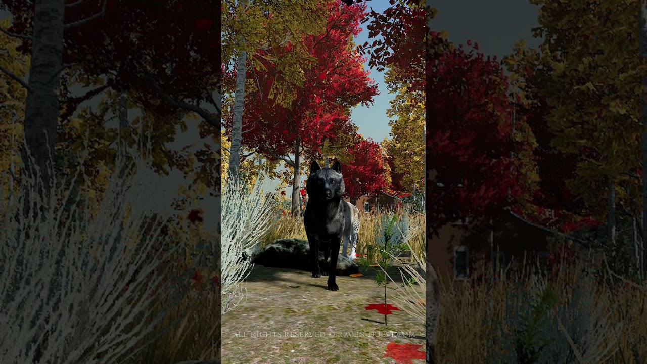 👀Did I Get 15 MATES❗️❓ WolfQuest 3 AE