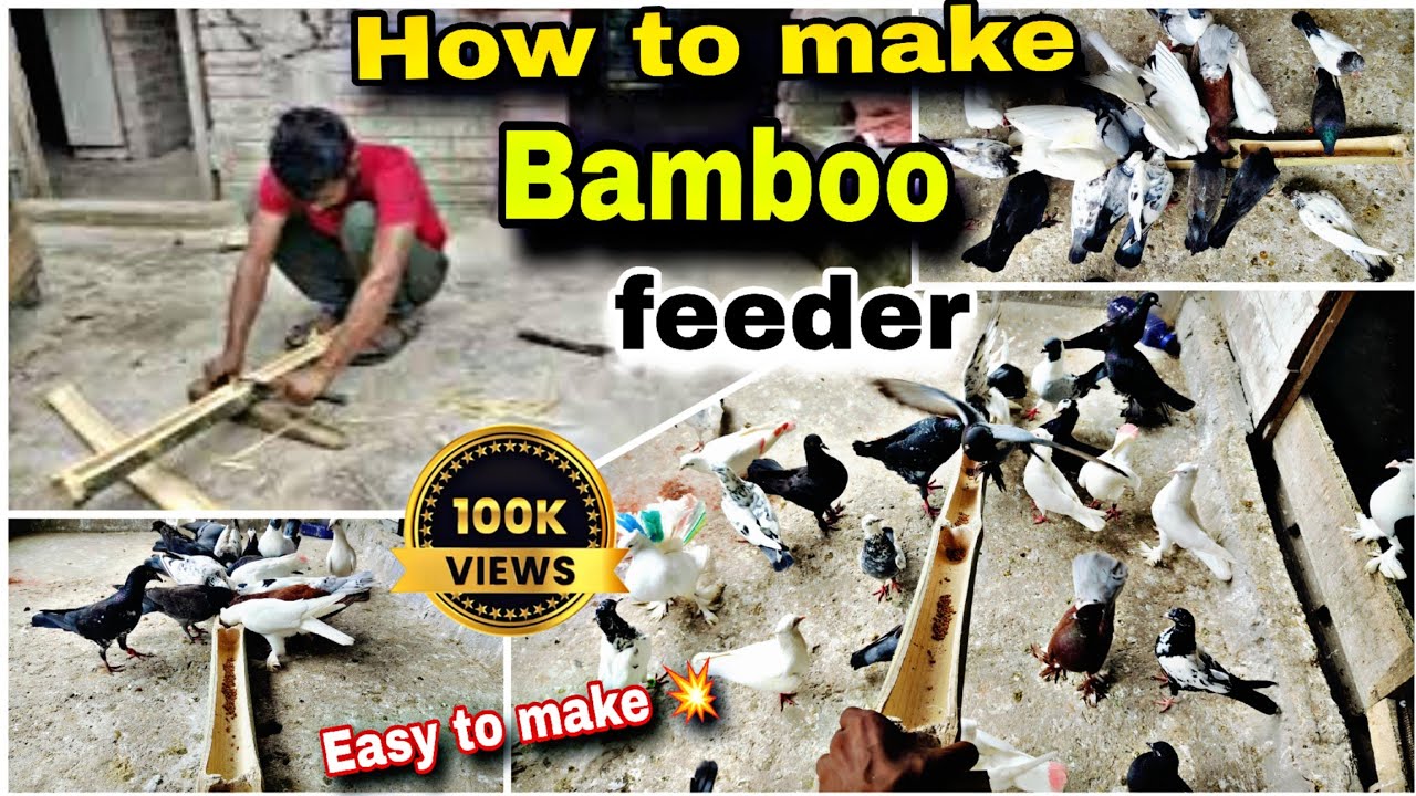 বাঁশ দিয়ে পায়রার খাবার পাত্র বানানো//how to make bamboo Feeder//Pigeon Feeder//