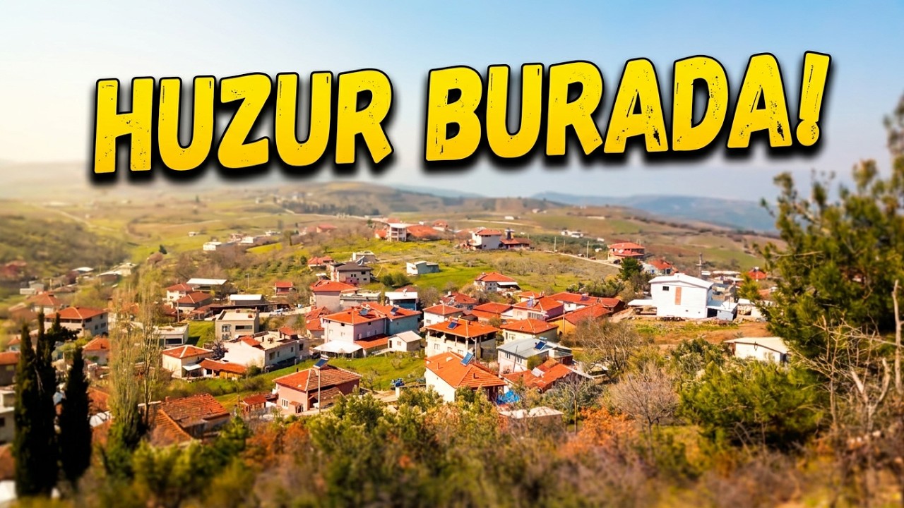 Burası Bursa Osmangazi'de: Seçköy'ün harika manzaralarına yolculuk #Seçköy #Osmangazi #BursaKöyleri