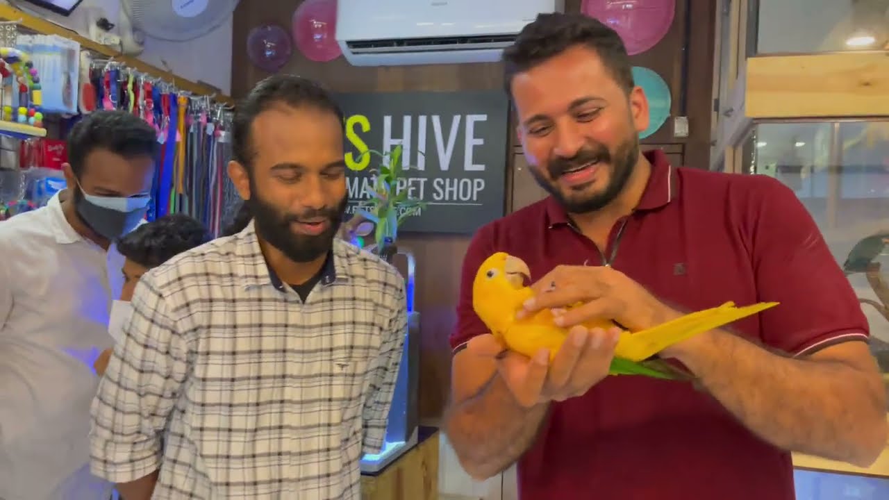 Swan വാങ്ങാൻ പോയപ്പോൾ