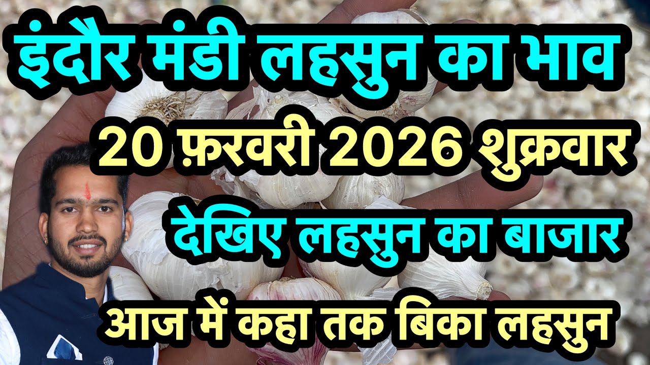 20 February 2026 indore Mandi lahsun ka bhav 