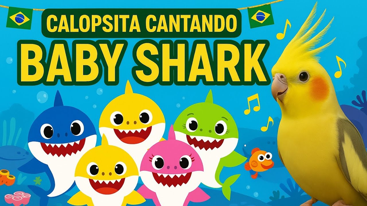 Calopsita cantando - BABY SHARK - cantos e Sons para calopsitas