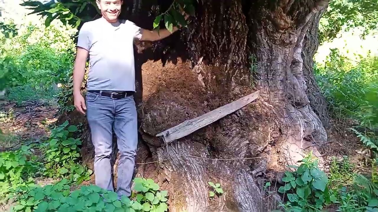 İzmir Bayındır Ovacık  Tabiat Parkı