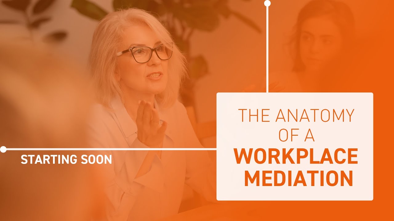 The Anatomy of a Workplace Mediation