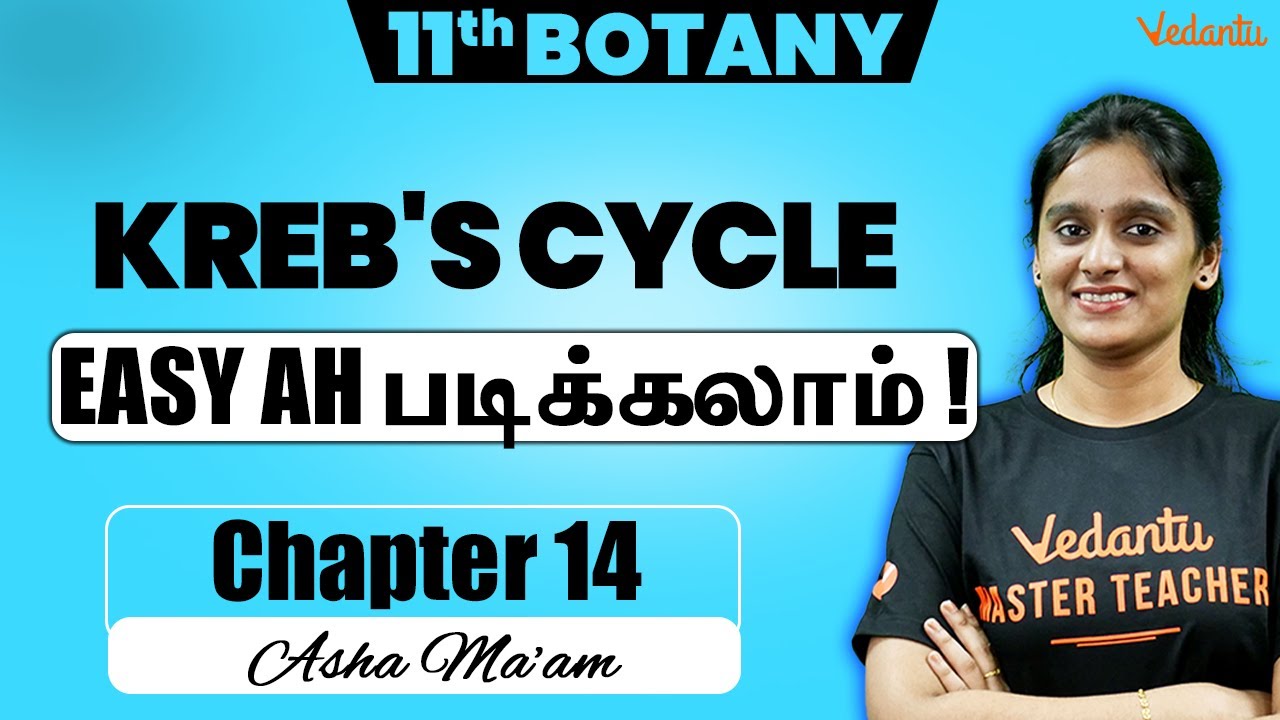 11th Botany | CH 14 - Kreb's Cycle | 2nd Mid Term 2024 | Asha Ma'am