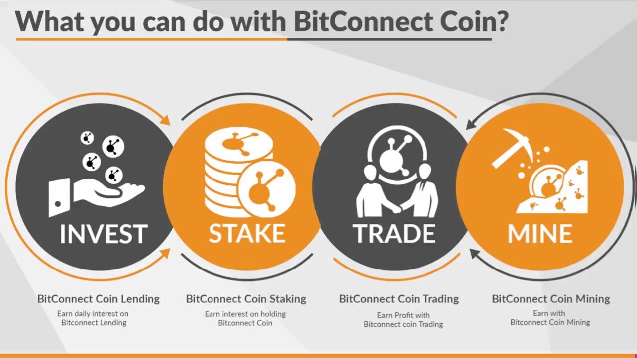 What is BitConnect BCC Pool & Investment ?