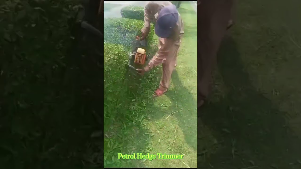Hedge Trimmer | Petrol Hedge Trimmer | Grass Trimmer | ھیج ٹریمر