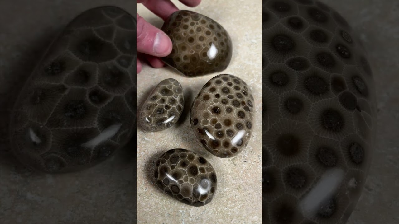 Charlevoix Stones Vs  Petoskey Stones