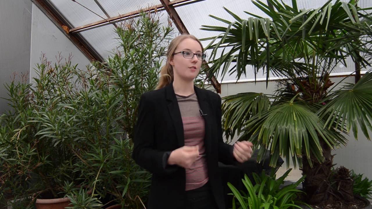 Youth Ag-Summit Application: Tips from Brittany Dahl