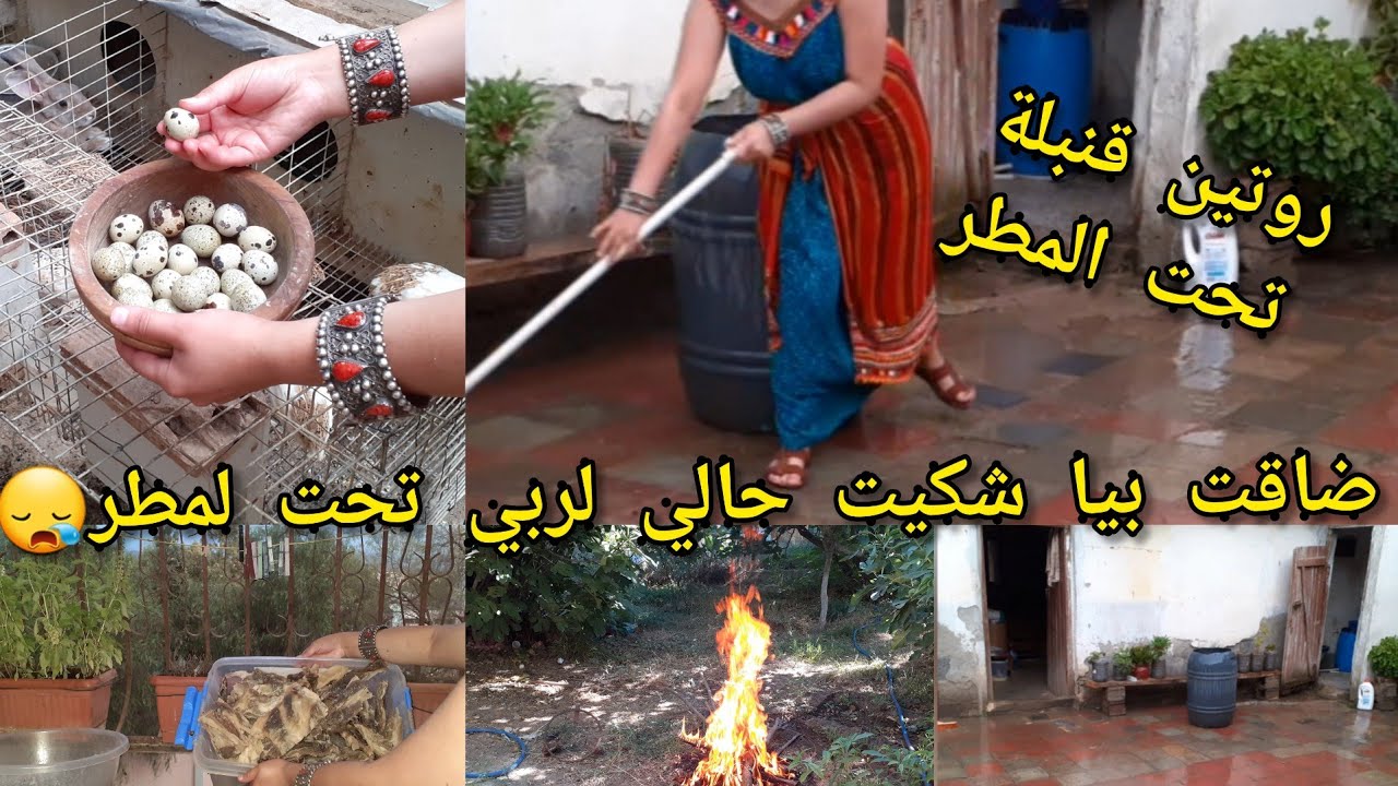 روتييين ممتع تحت المطر😍خدمت شغلي وشتا تصب عليا بردت قلبي وحسيت براحة نفسية شكون كما انا😛