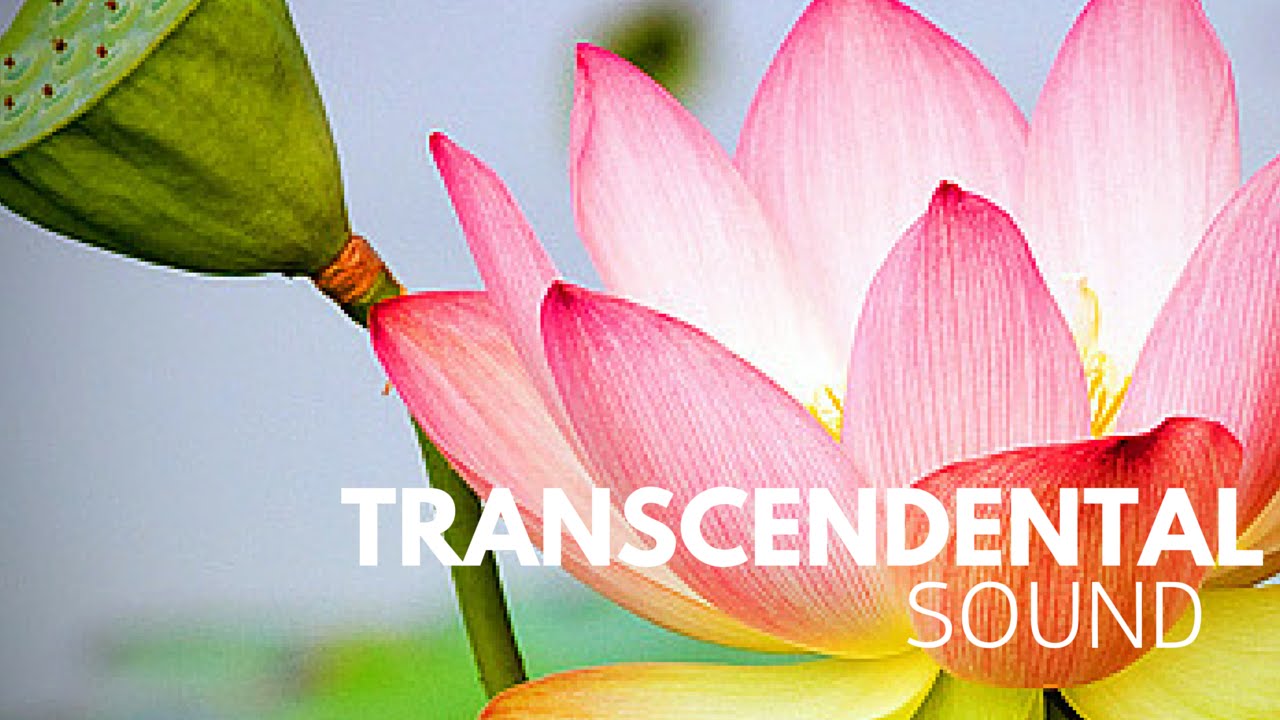 Heartfelt Devotional Chanting by Jagad Guru Siddhaswarupananda Paramahamsa Chris Butler