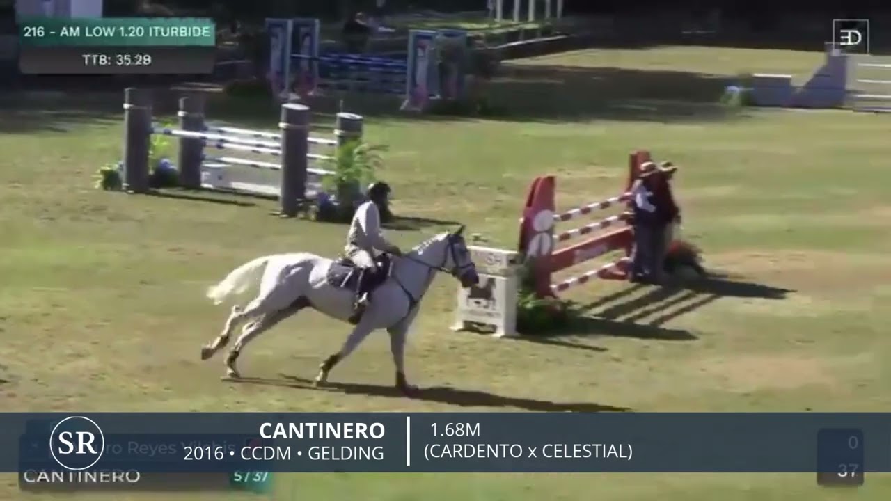 CANTINERO