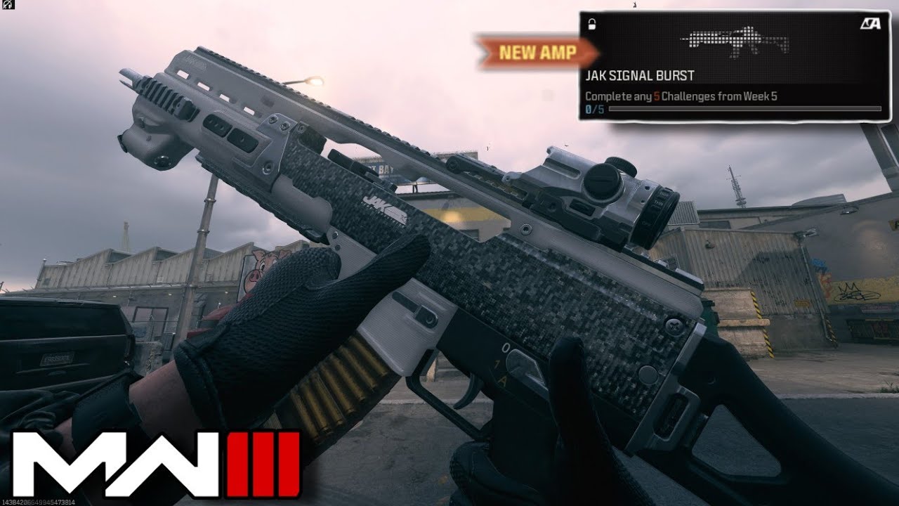 the NEW HOLGER 556 Conversion Kit is Interesting in MW3