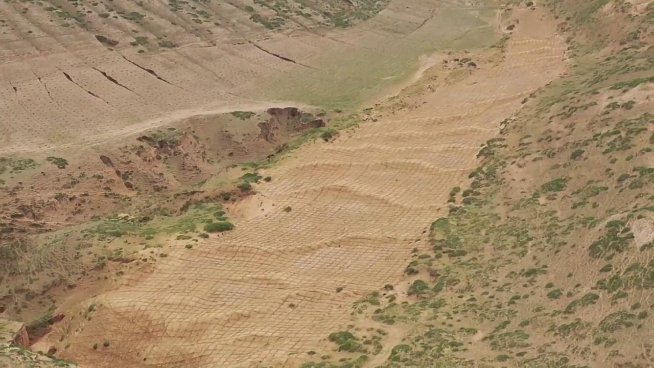 La Cina ha fatto rinascere foreste dove la sabbia e il deserto avevano divorato tutto