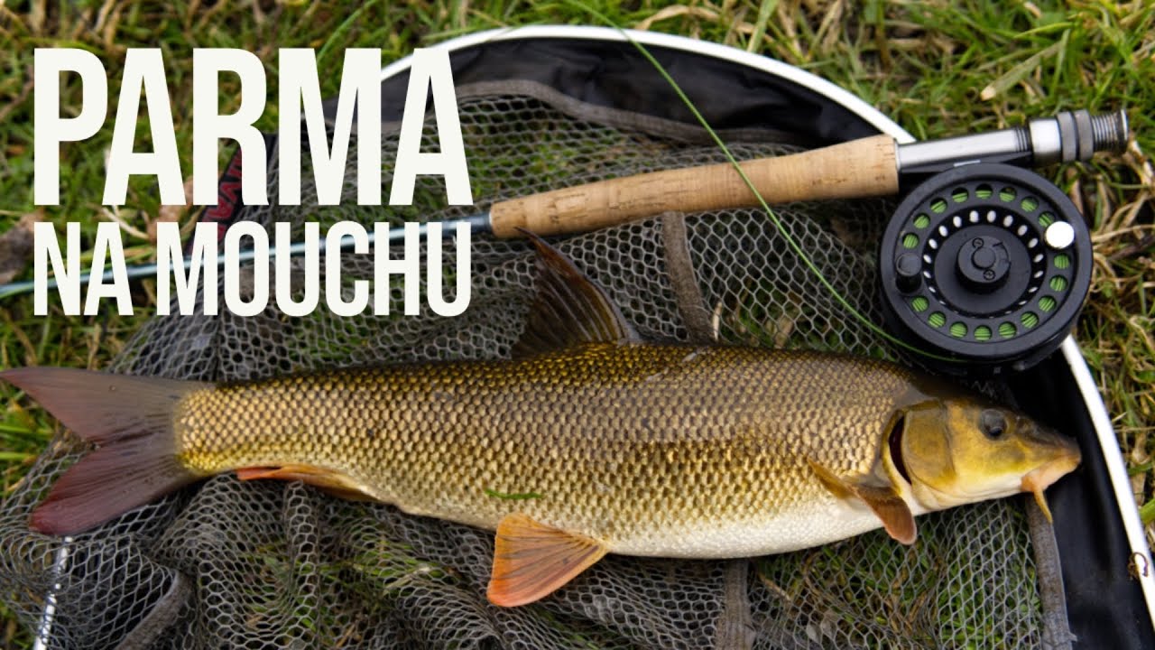 TO BYLA JÍZDA | lov parem na mušku